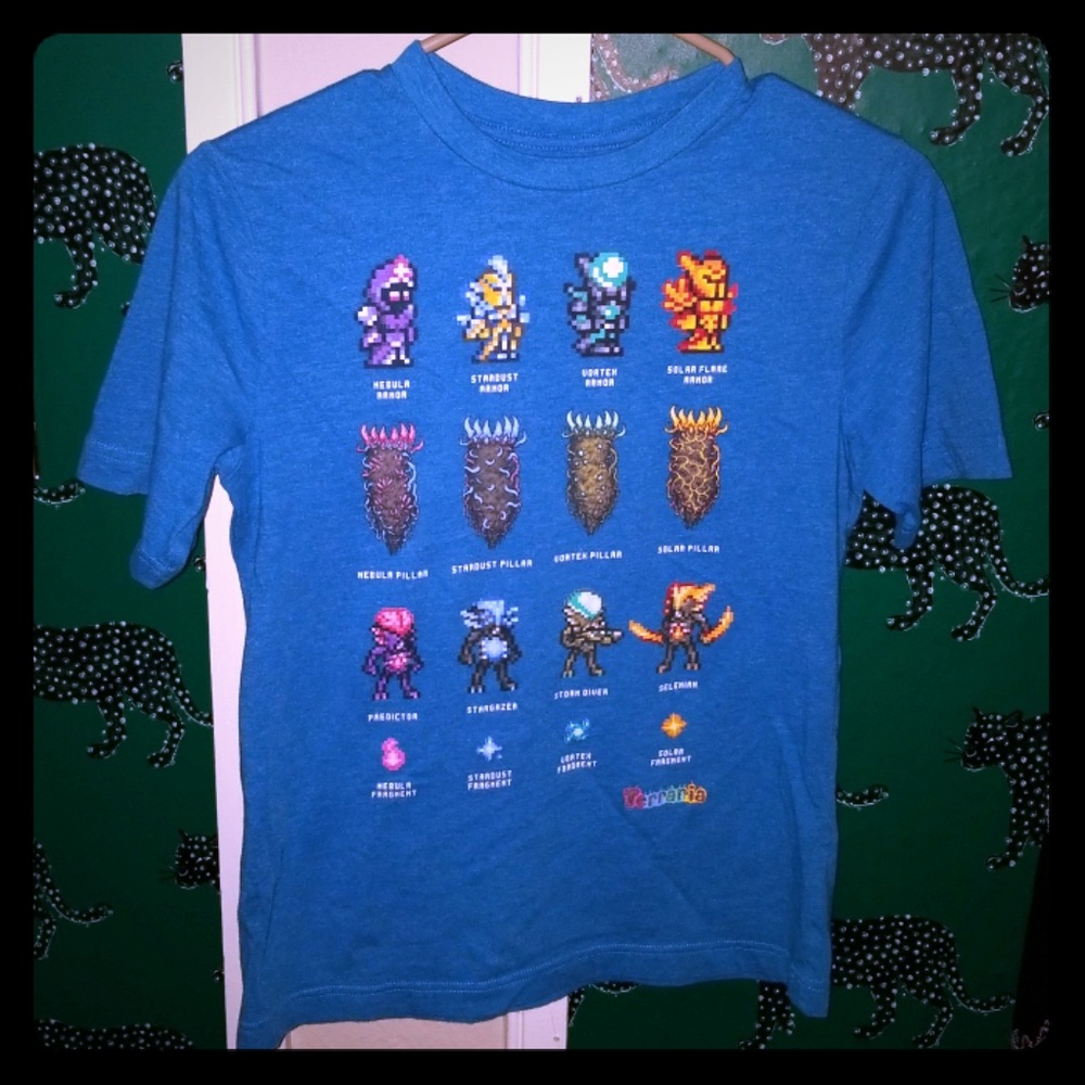 Boys Terraria Tshirt Large